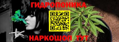 стафф Коммунар